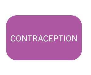 Contraception Methods Image Link
