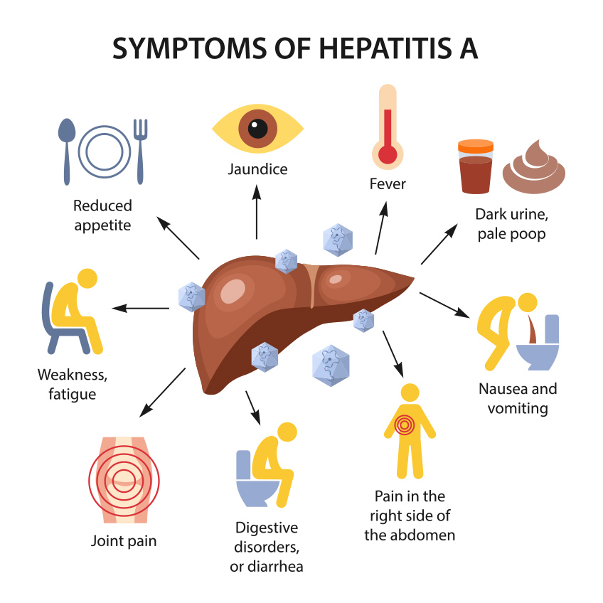 Hepatitis Hepatitis